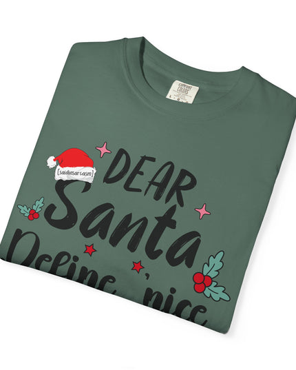 Dear Santa Define Nice Christmas T-Shirt
